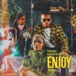 Tekno – Enjoy (Remix) Ft. Mafikizolo