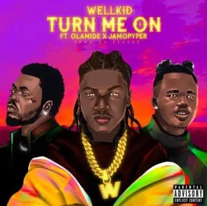 Wellkid – Turn Me On Ft. Olamide & Jamopyper