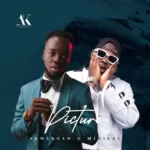 Akwaboah – Picture Ft. Medikal