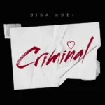 Bisa Kdei – Criminal