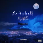 Erigga – SALB (Still A Lost Boy)