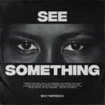 Boybreed – See Something