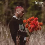 Ckay – Felony