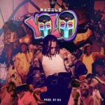 Pheelz – YOLO