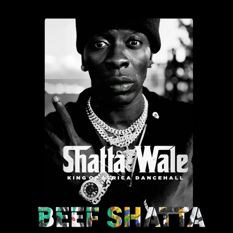 Shatta Wale – Beef Shatta