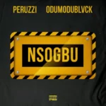 Peruzzi – Nsogbu Ft. ODUMODUBLVCK