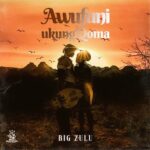 Big Zulu – Awufuni Ukung’Qoma