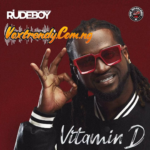 Rudeboy – Vitamin D