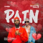 Ypee - Pain Ft. Shatta Wale