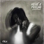 FOLA-what-a-feeling-EP